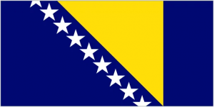 Logo de l'équipe Bosnie-Herzégovine