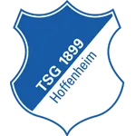 Logo de l'équipe TSG Hoffenheim