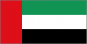 Logo de l'équipe Emirats Arabes Unis