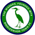Logo de l'équipe Biggleswade Town
