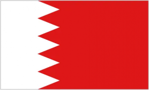 Logo de l'équipe Bahreïn