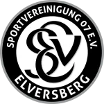 Logo de l'équipe Elversberg