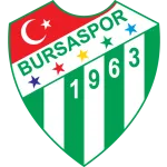 Logo de l'équipe Bursaspor