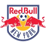 Logo de l'équipe New York RB