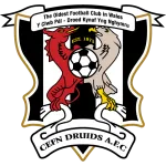 Logo de l'équipe Cefn Druids