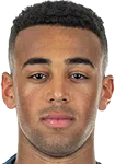 tyler-adams