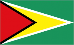 Logo de l'équipe Guyane