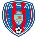 Logo de l'équipe Târgu Mureş