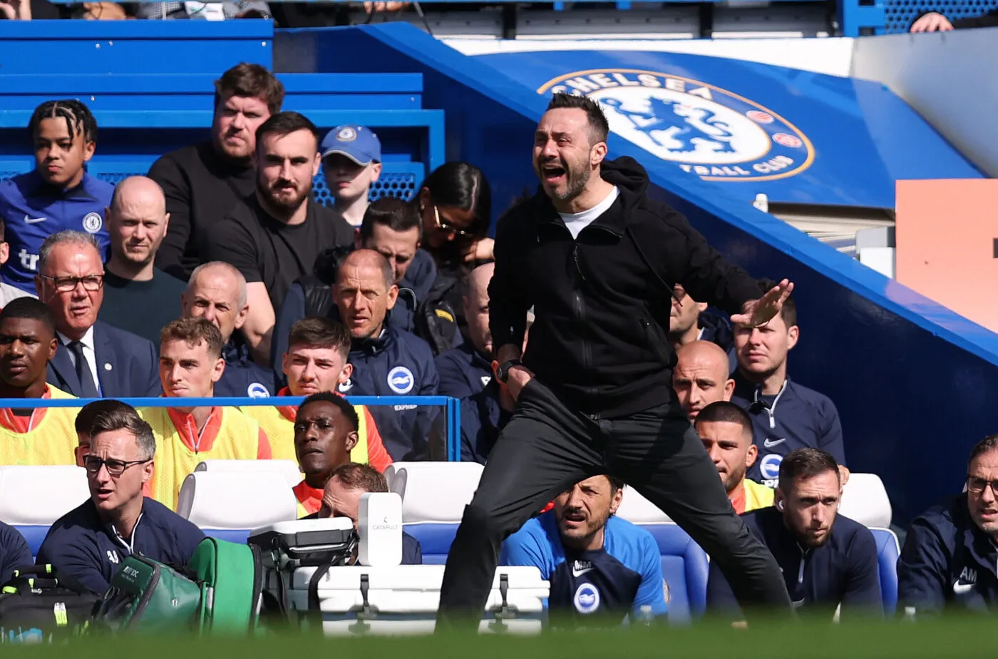 À Brighton, la « De Zerbi mania » est à son zénith