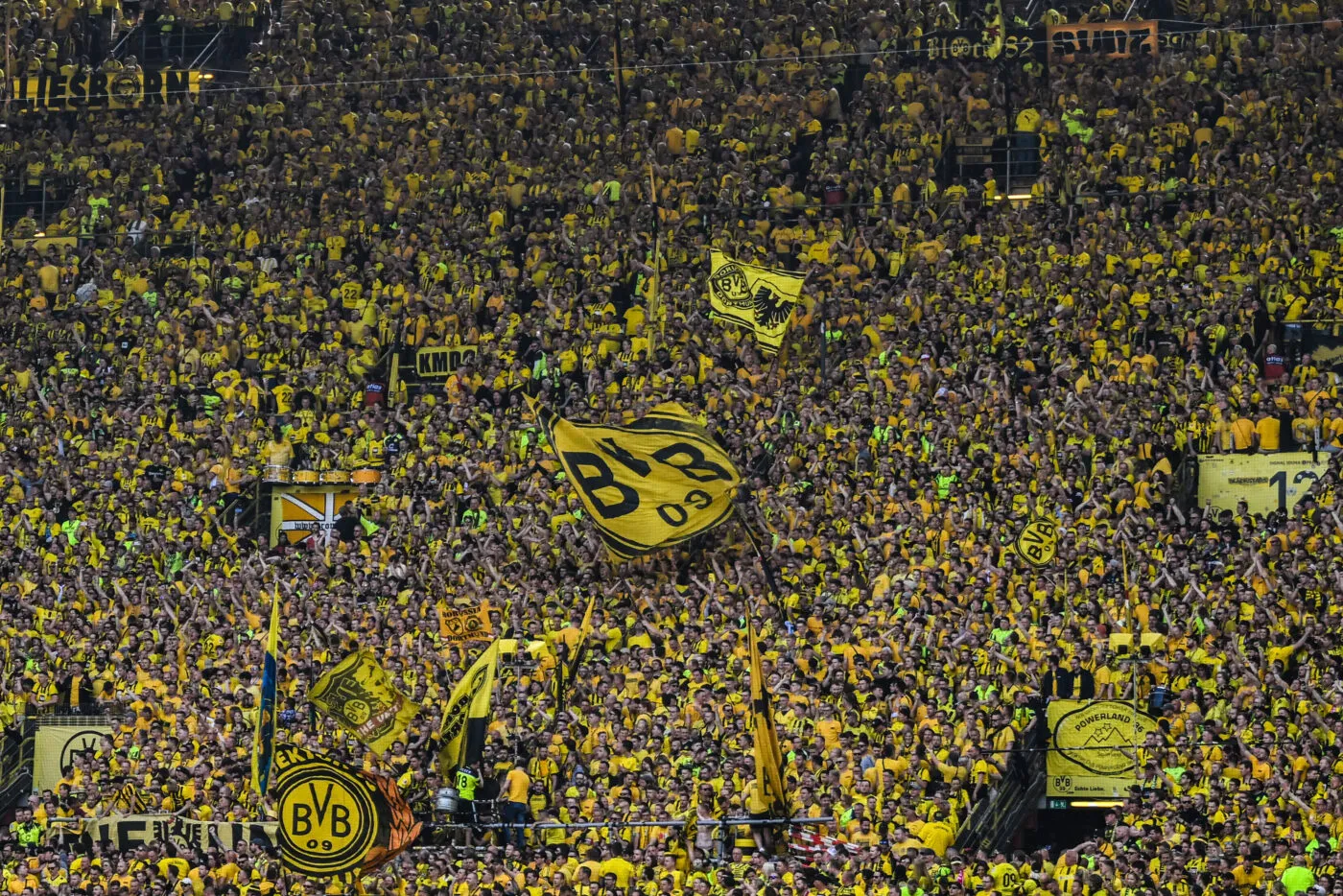 Quand les abeilles envahissent la pelouse de Dortmund