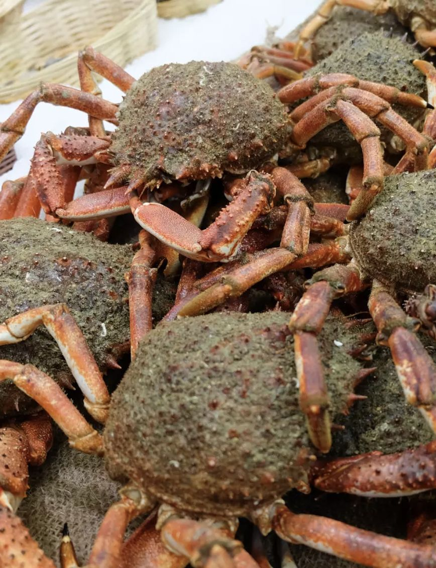 Capture-de%CC%81cran-2023-05-30-a%CC%80-15