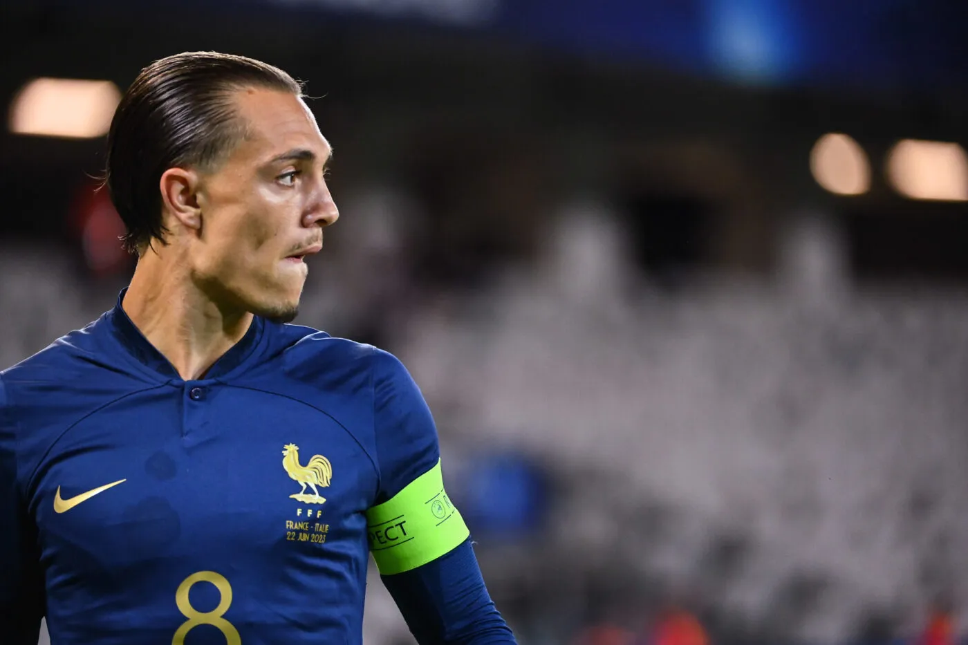 Bleuets : la force du gang des Lyonnais