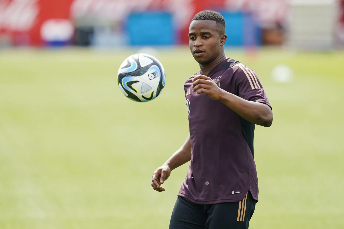 Le message de la fédération allemande aux internautes racistes : « Vous nous dégoûtez »