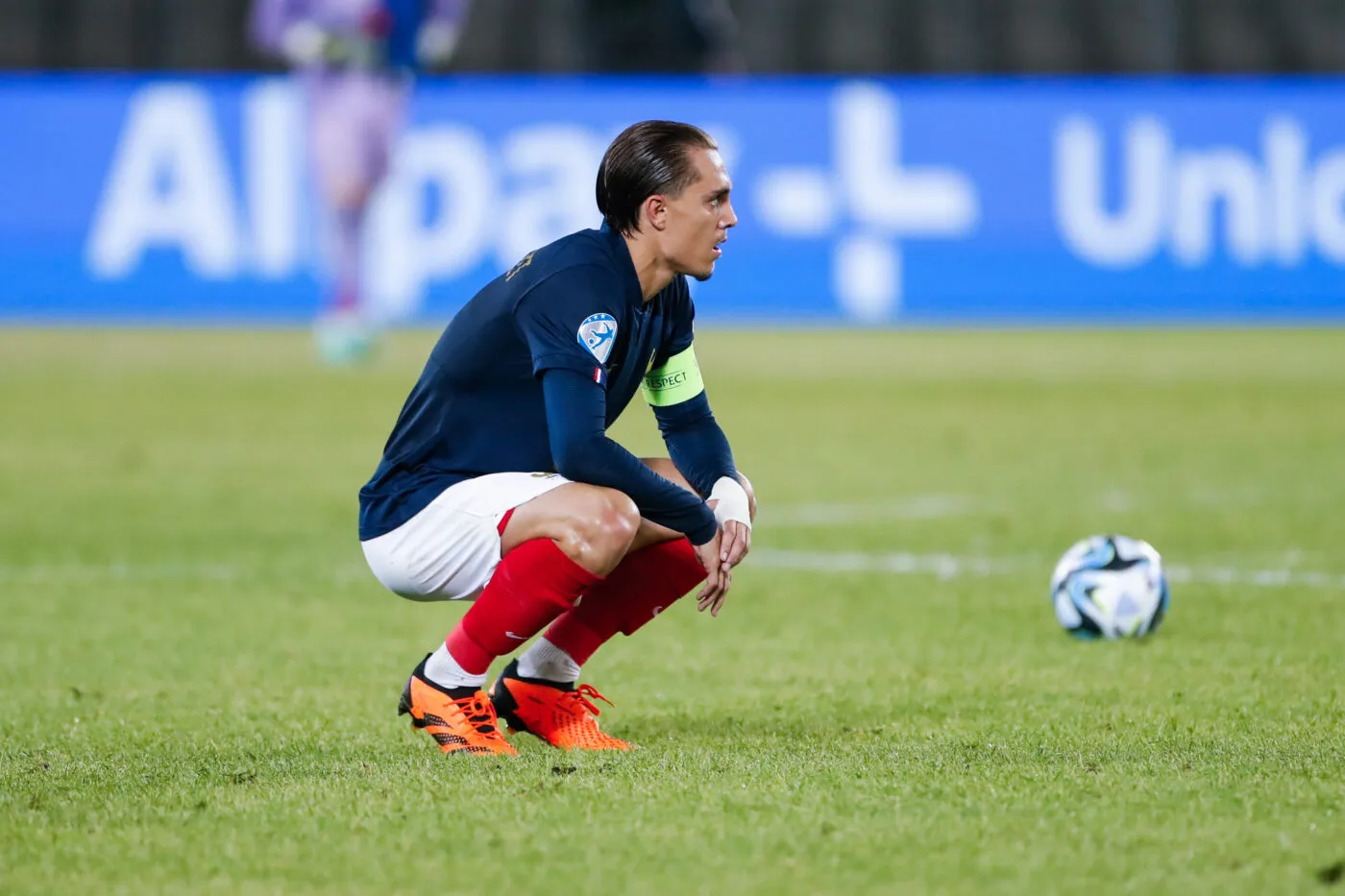 Viens parler du fiasco des Bleuets et de l'immense Stève le phoque sur Twitch !