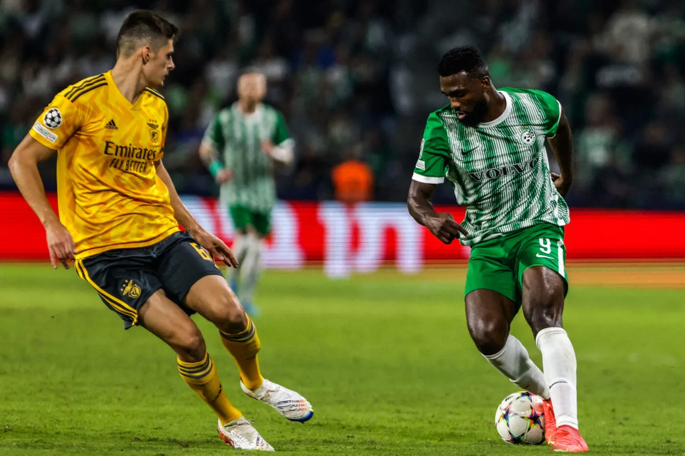 Pronostic Maccabi Haïfa Young Boys Berne : Analyse, cotes et prono du barrage aller de Ligue des champions