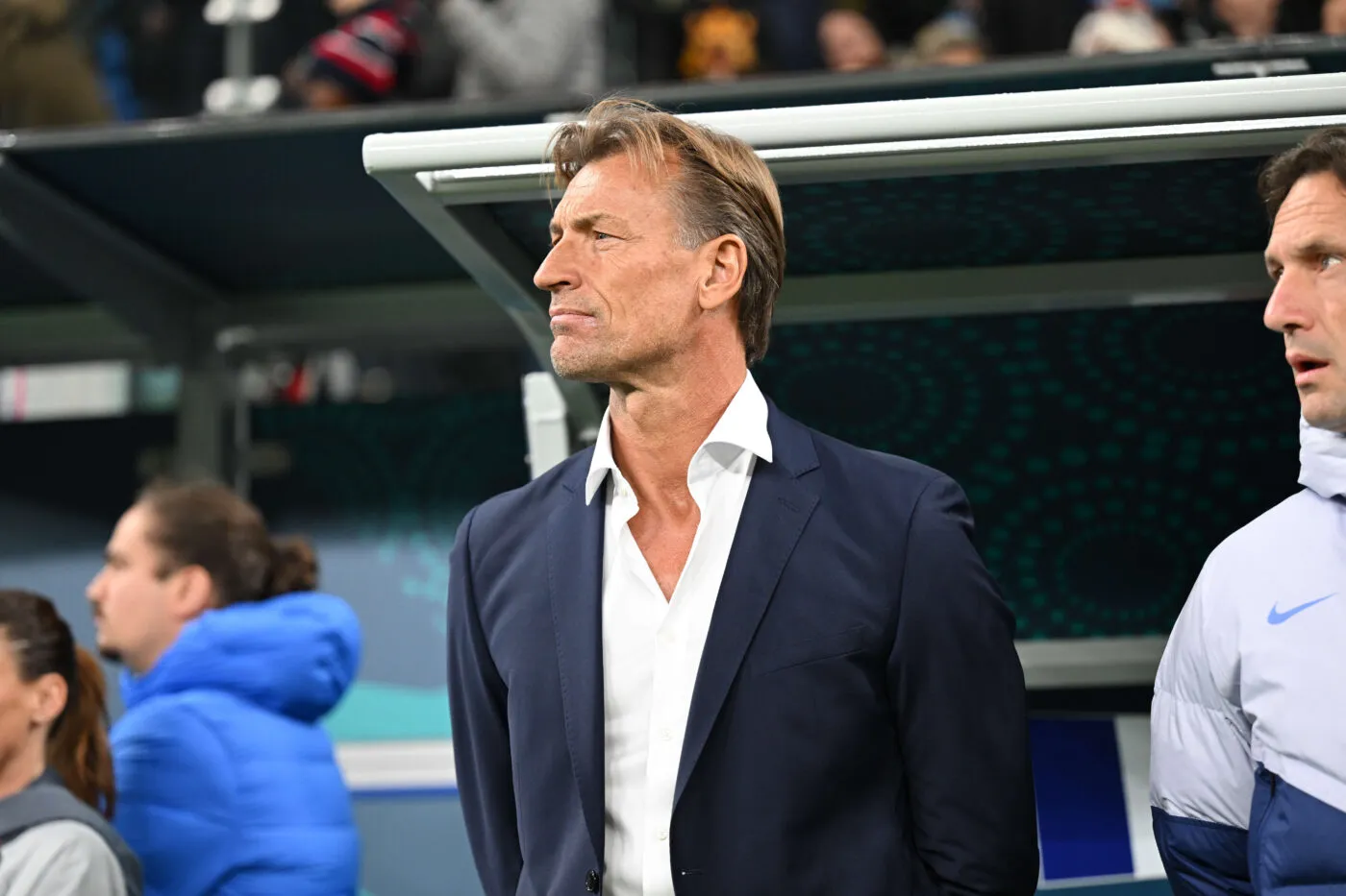 « Personne n'avait fait de compte fan d'Hervé Renard »