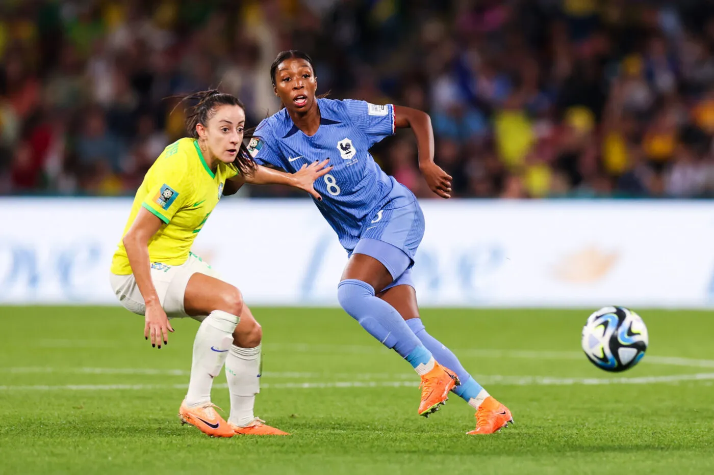 La France domine le Brésil