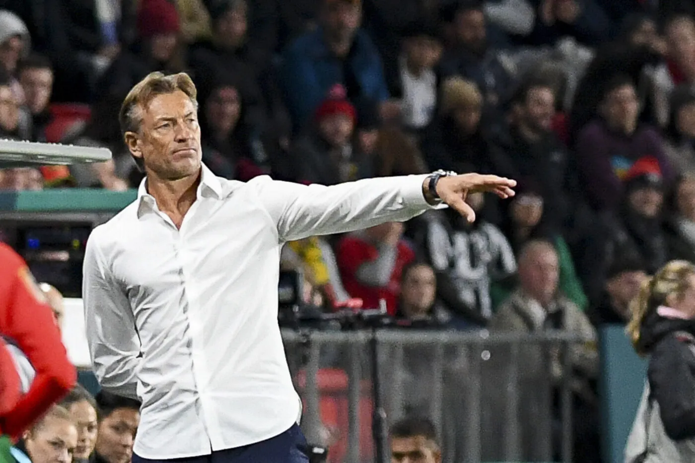 Renard : « Les ambiances hostiles ? On adore ça »