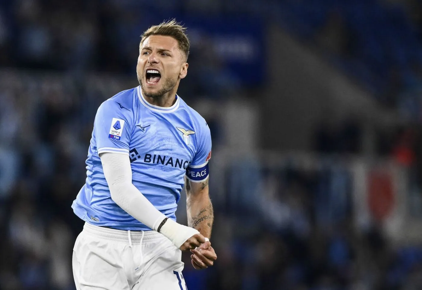 Immobile buteur