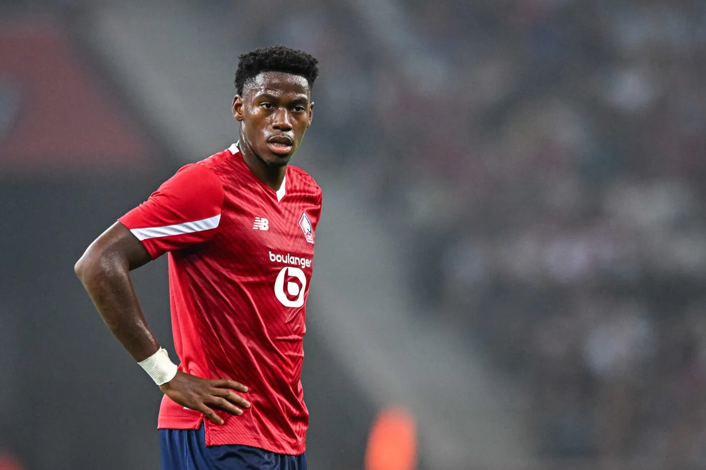 Jonathan DAVID of Lille during the Europa Conference League play-off soccer match between Lille and HNK Rijeka at Stade Pierre Mauroy on August 24, 2023 in Lille, France. (Photo by Baptiste Fernandez/Icon Sport)