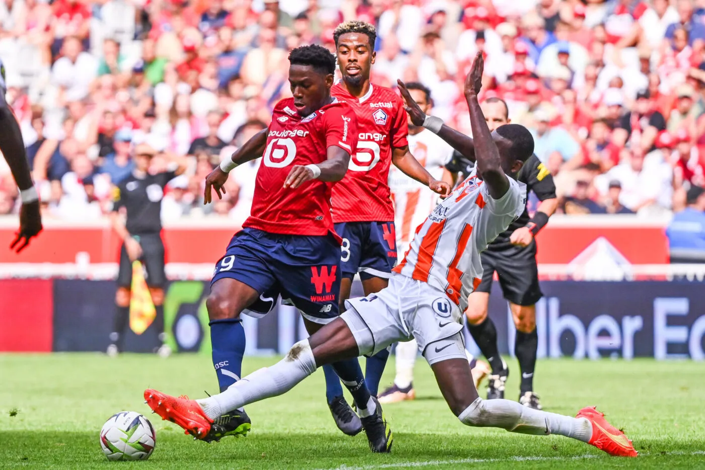 Le LOSC domine Montpellier