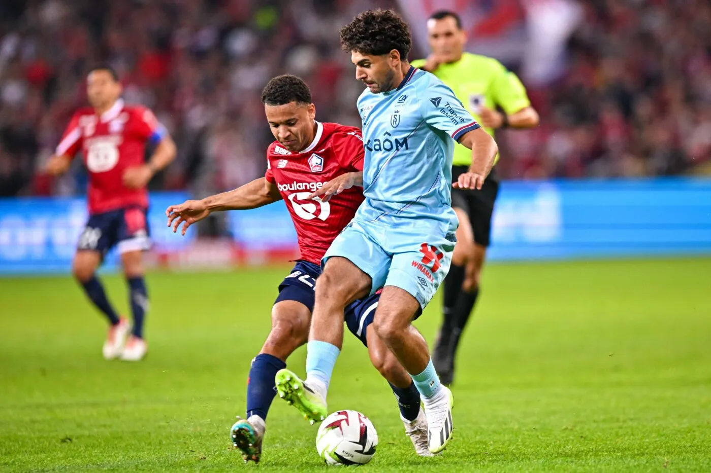 Reims se paye le LOSC