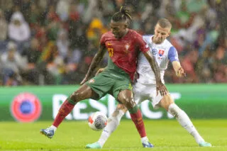 Le Portugal décroche sa place pour l'Euro