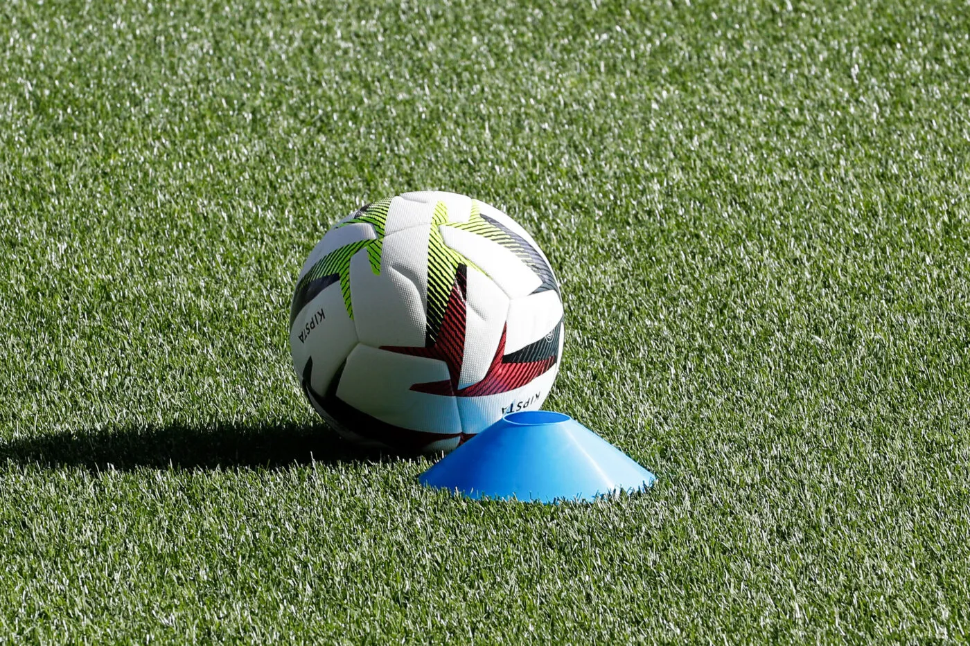 En Dordogne, un sanglier débarque durant un entraînement d'amateurs