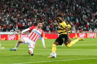 Les Young Boys domptent l'Étoile rouge et filent en Ligue Europa