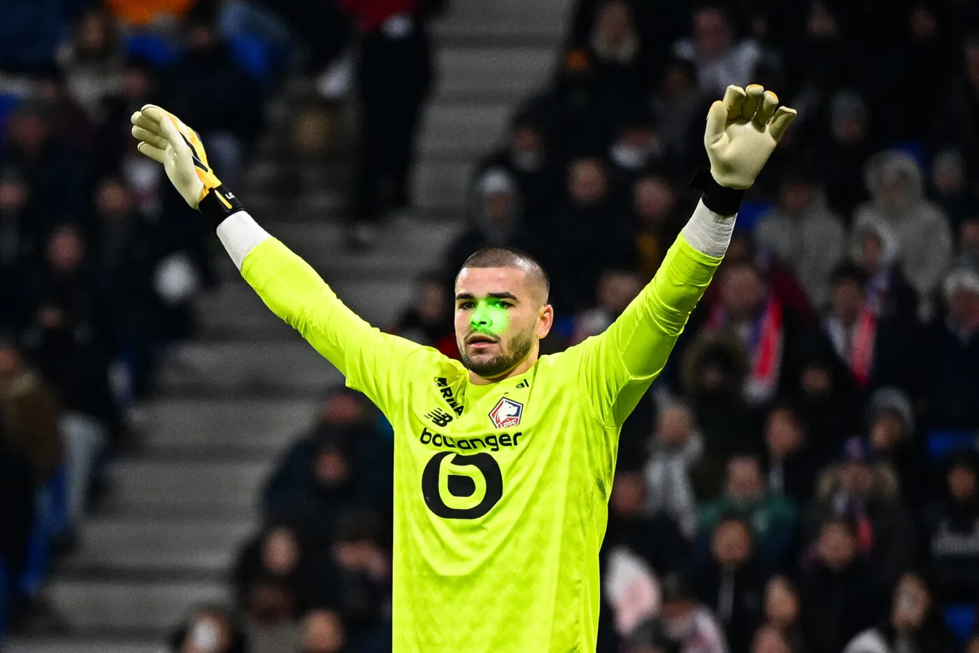 Chevalier, histoire d’une mue