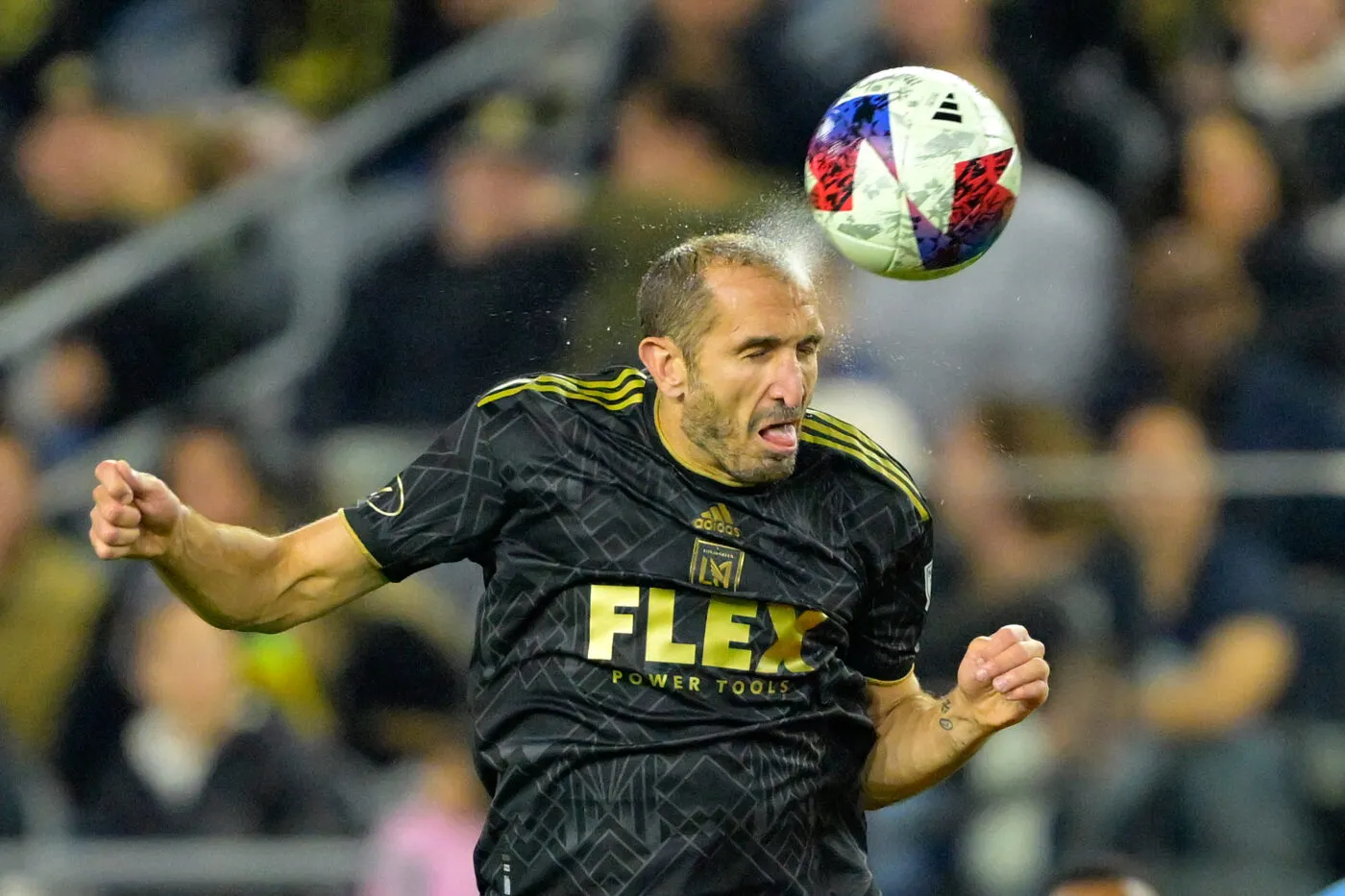 Giorgio avec son dernier club de Los Angeles FC.
