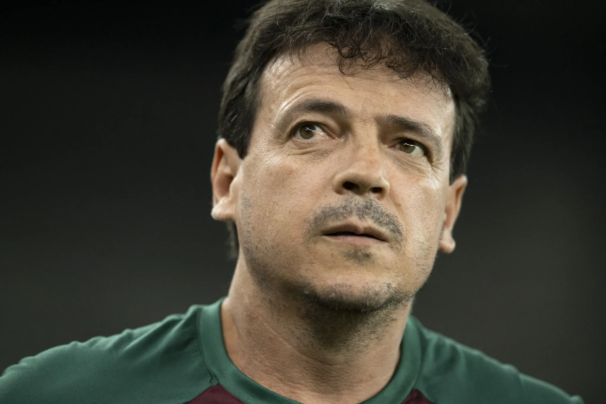 Fernando Diniz ne serait plus le sélectionneur du Brésil