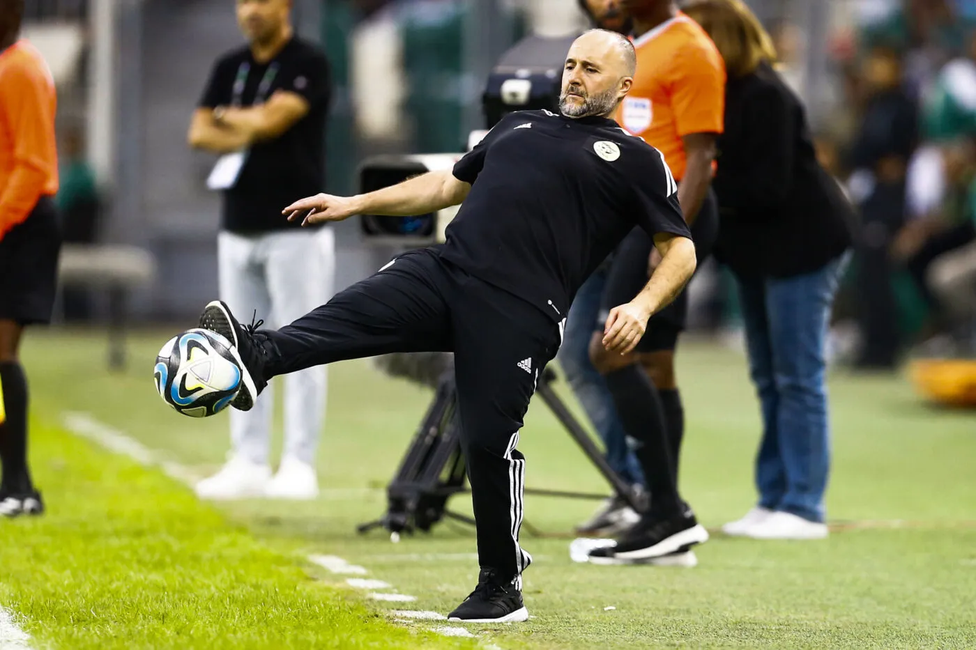 Djamel Belmadi n&rsquo;est plus le sélectionneur de l&rsquo;Algérie