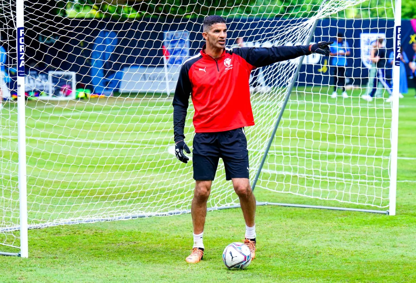 David James sort de sa retraite et fait trembler les filets