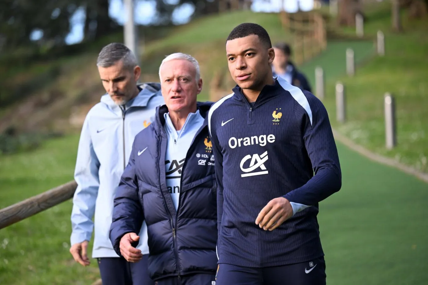 Bleus : l’arène et le règne