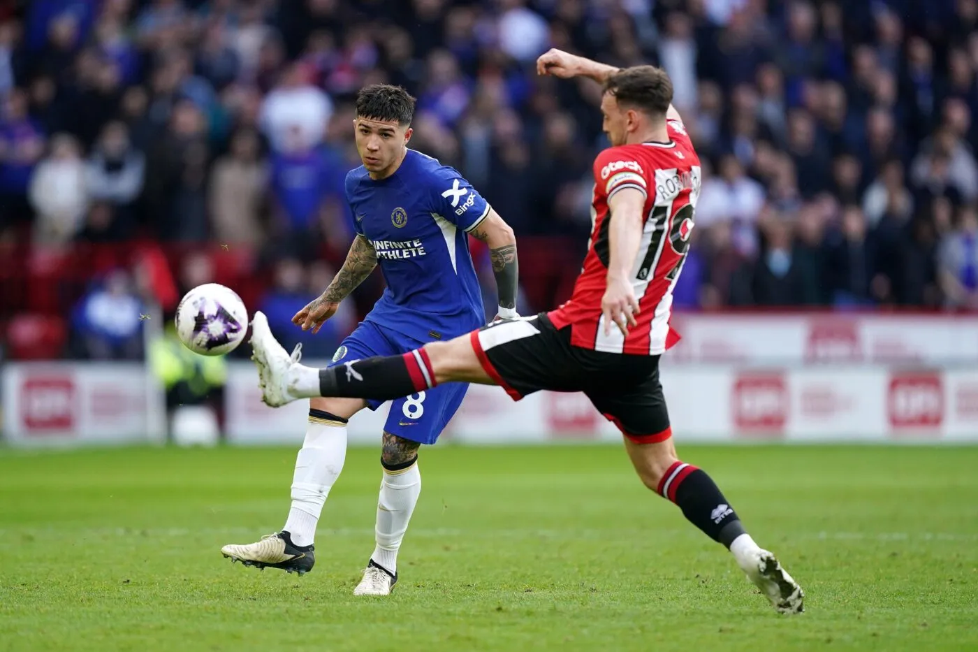 Fin de saison pour Enzo Fernández à Chelsea