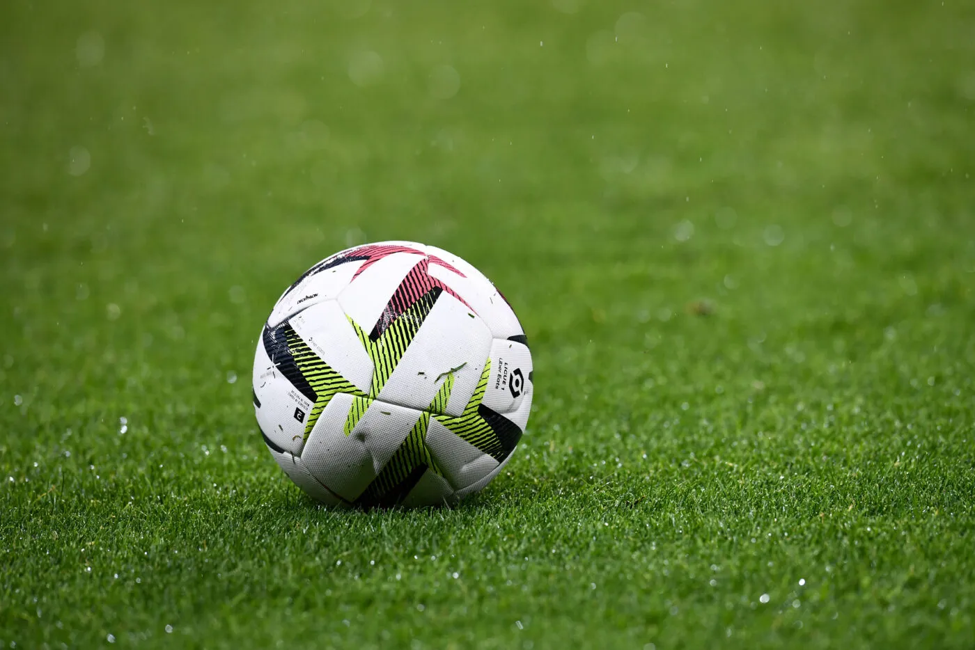 Des universitaires du sport dénoncent le silence des dirigeants sportifs face à la montée de l’extrême droite