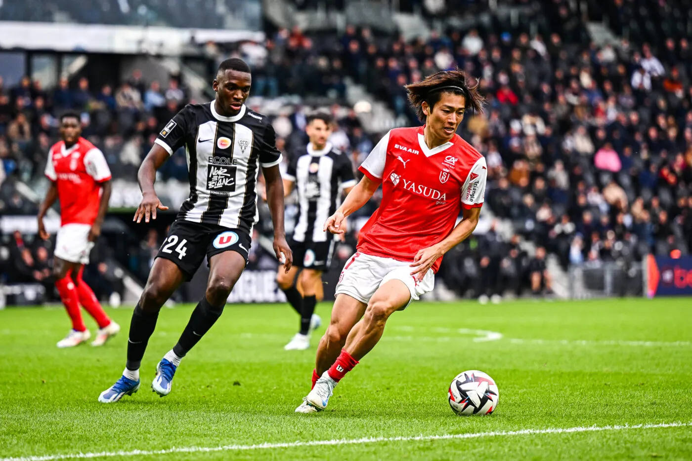 Pronostic Reims Montpellier : Analyse, cotes et prono du match de Ligue 1