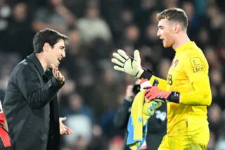 Pronostic Bournemouth Tottenham : Analyse, cotes et prono du match de Premier League