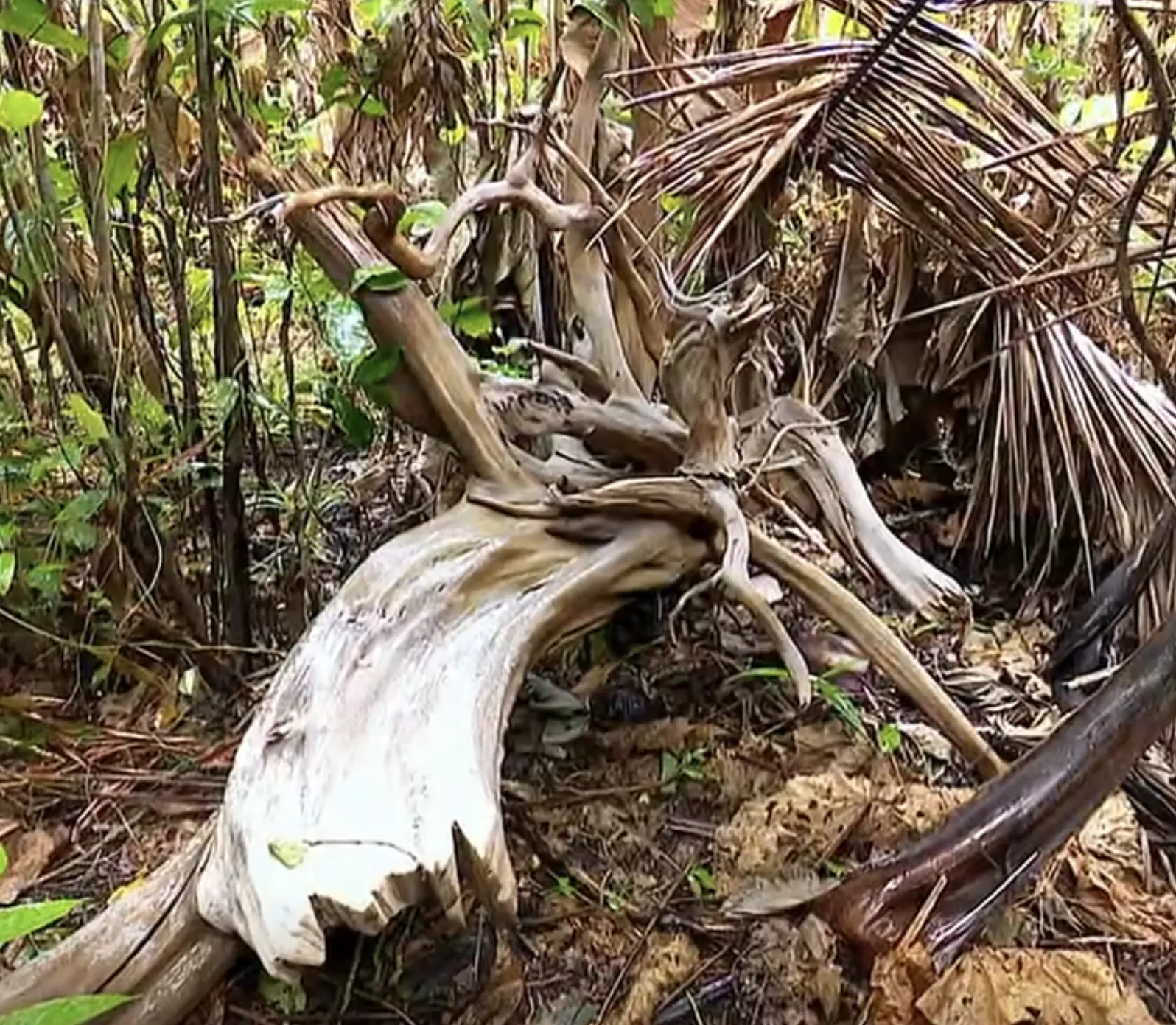 Capture-de%CC%81cran-2024-11-26-a%CC%80-21