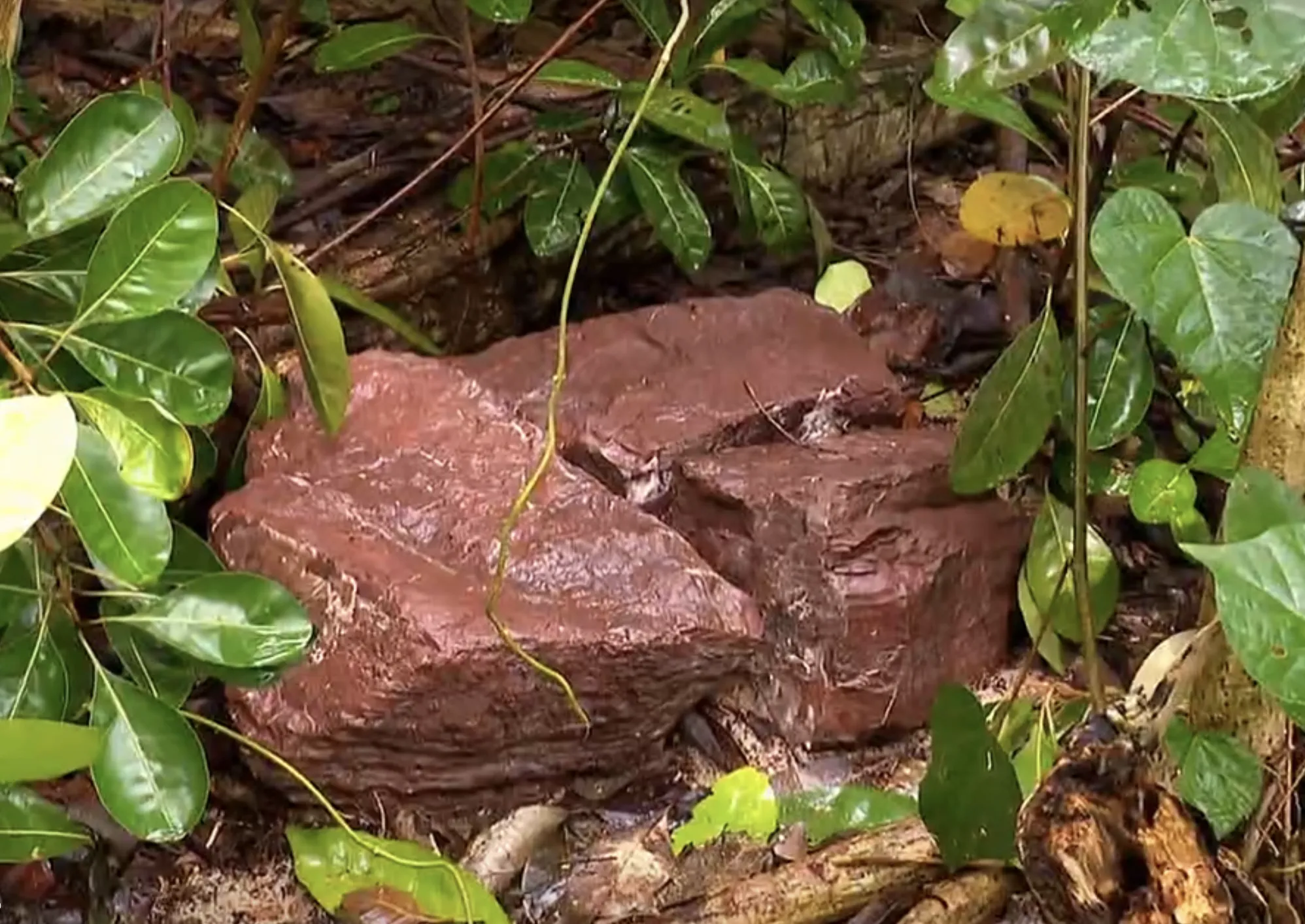 Capture-de%CC%81cran-2024-11-26-a%CC%80-21