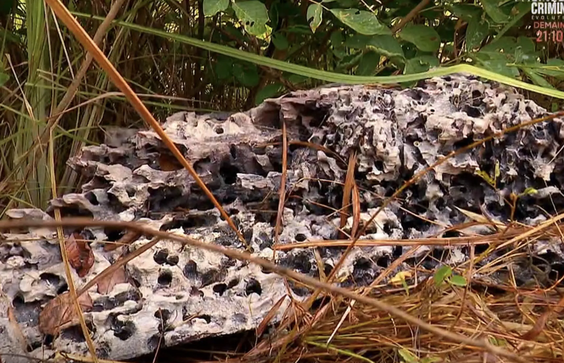 Capture-de%CC%81cran-2024-11-26-a%CC%80-21