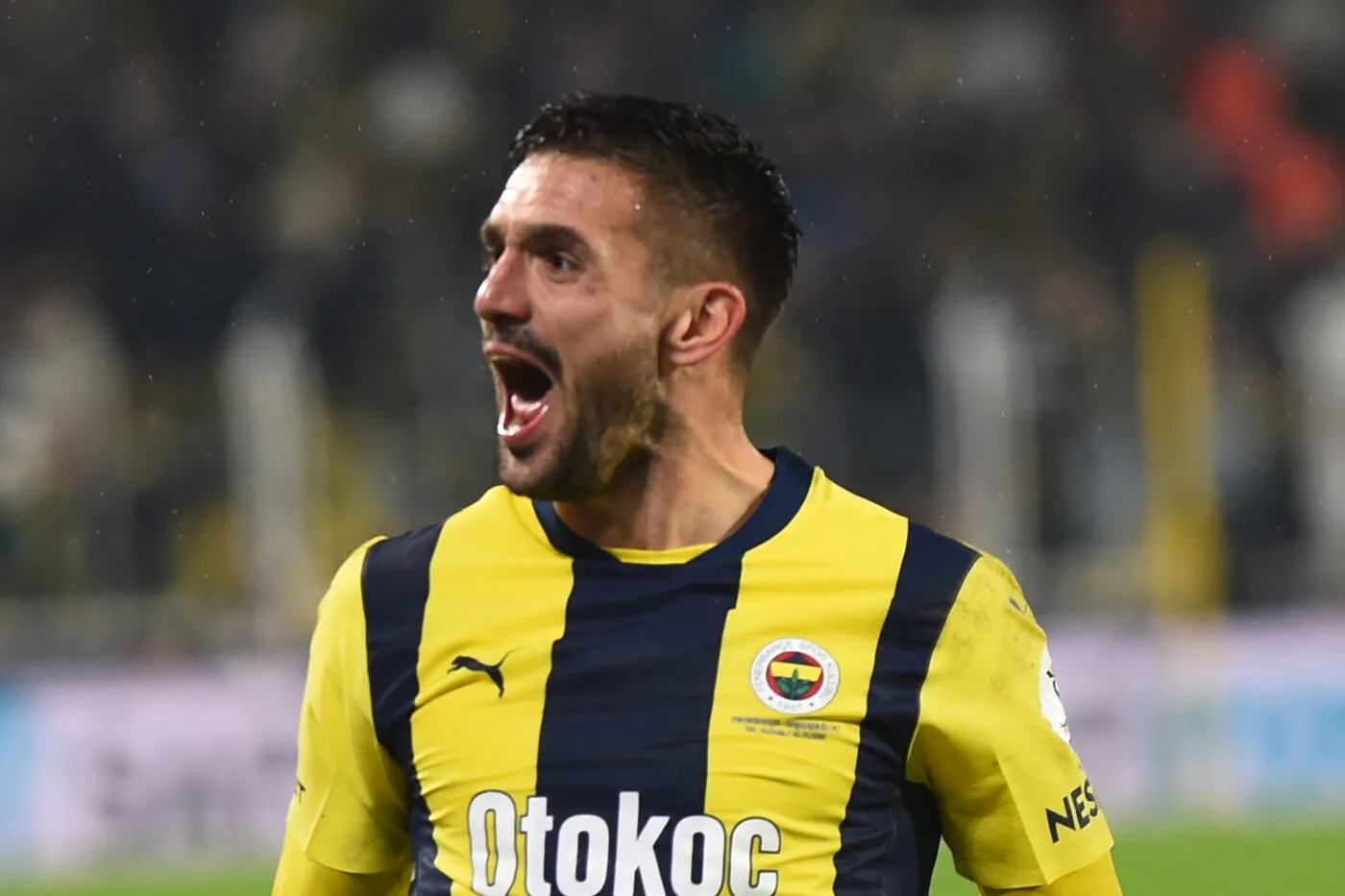 Fernerbahçe termine sa phase aller deuxième de Süper Lig