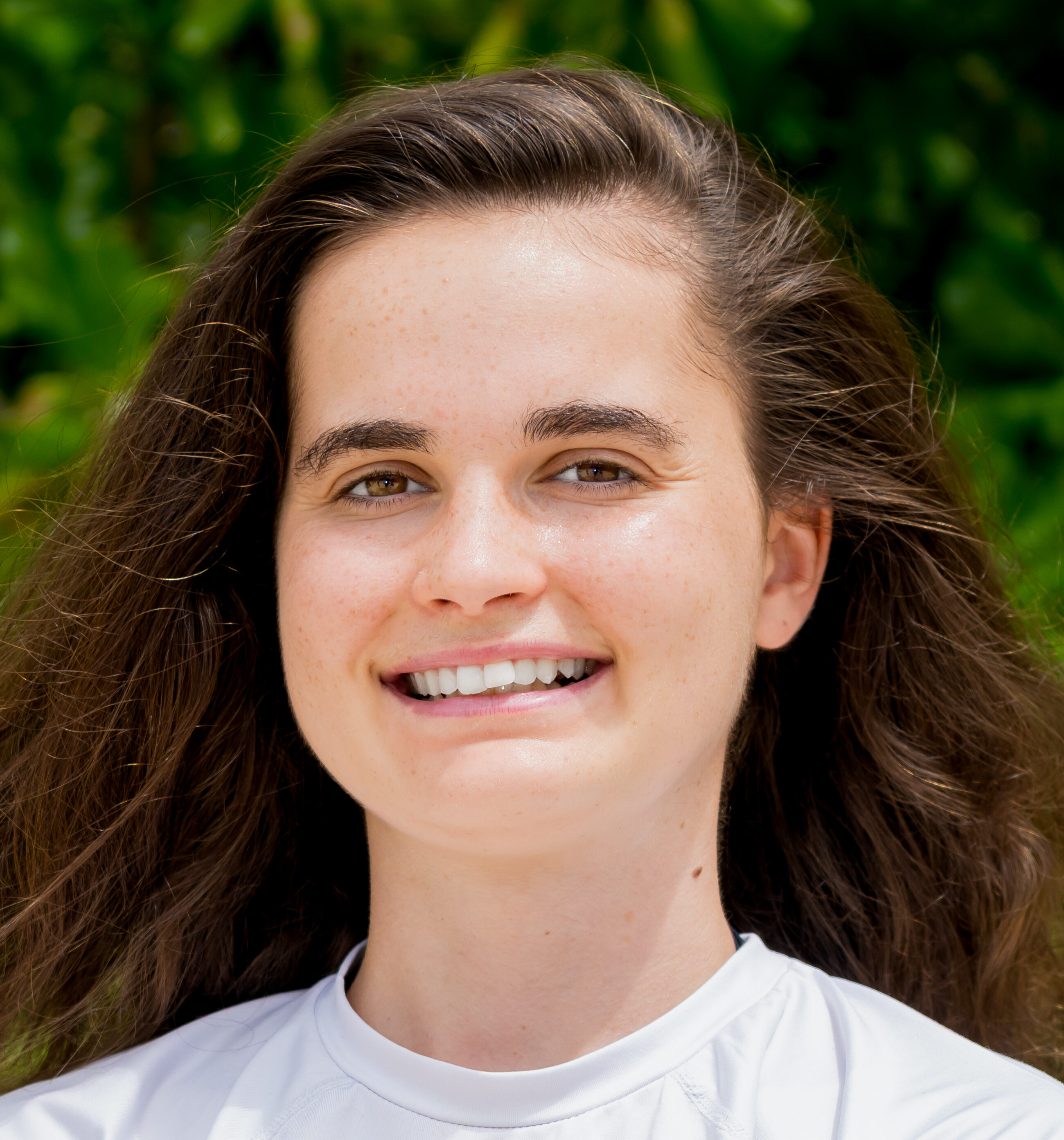 ROMANE-e1740500837612