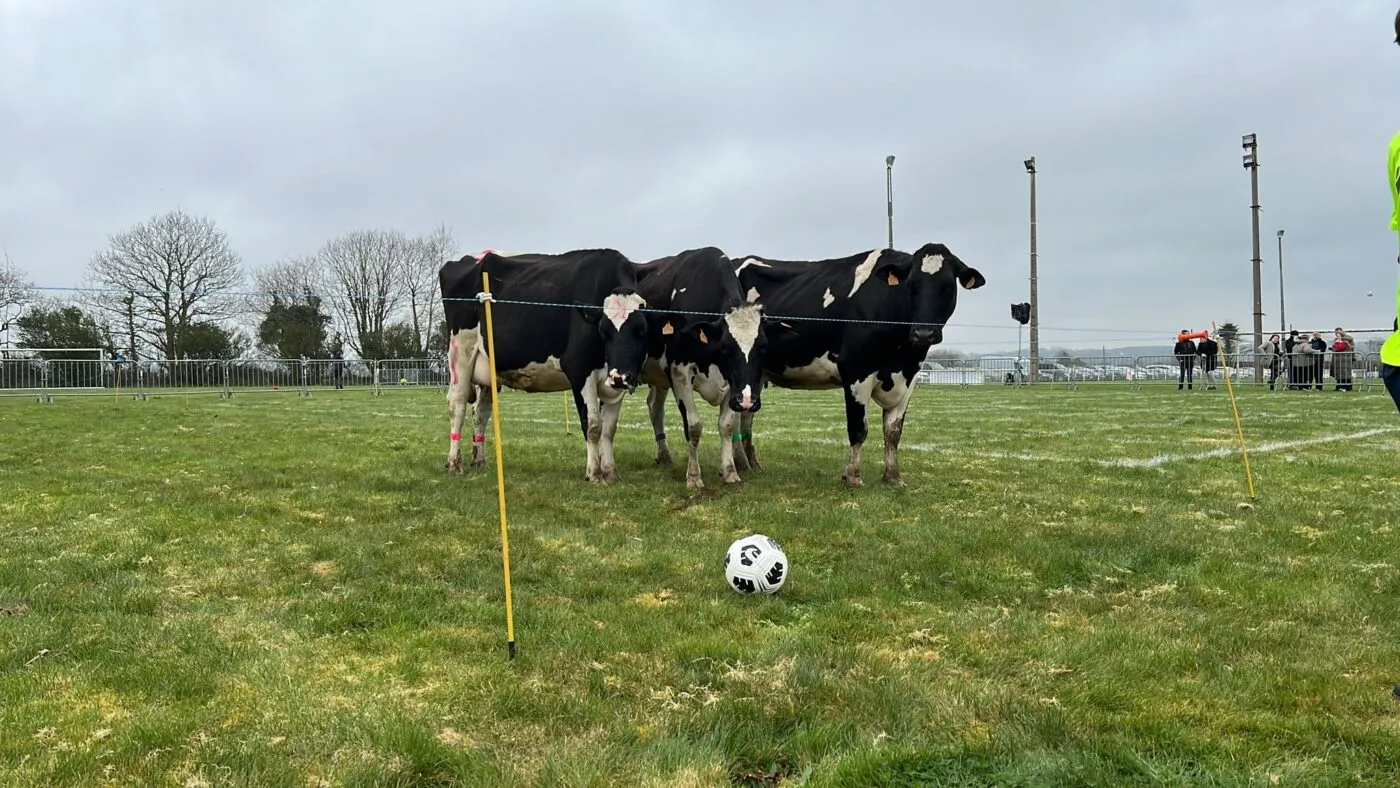Revivez la Vaillante Saint-Frégant - Hermine Kernilis  (4-1)