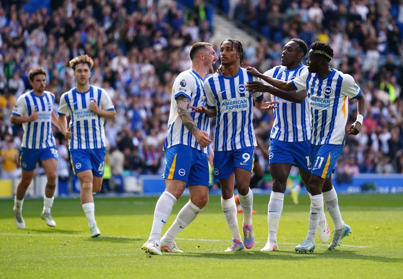 Comment les Seagulls ont repris leur envol ? Un documentaire raconte la renaissance de Brighton