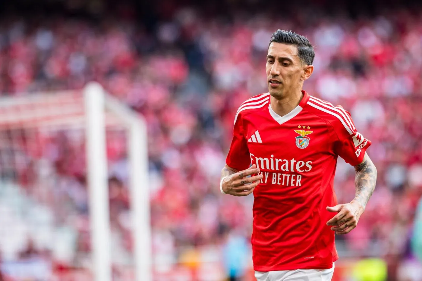 Ángel Di María ne devrait pas prolonger au Benfica (et manquera la Coupe du monde des clubs)