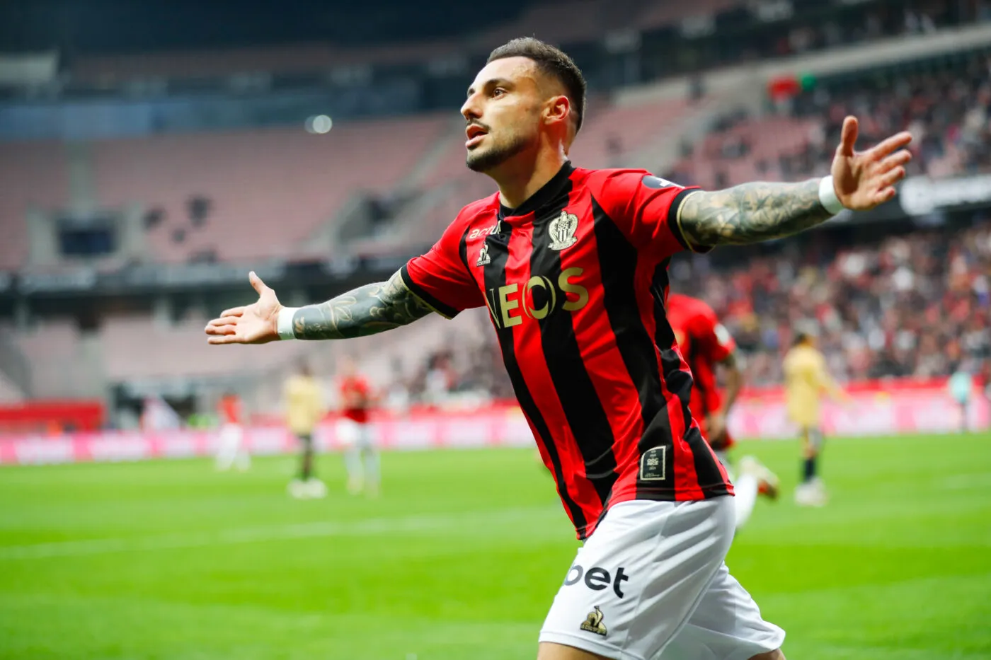 Jonathan Clauss, l’arc-en-ciel qui cache la forêt