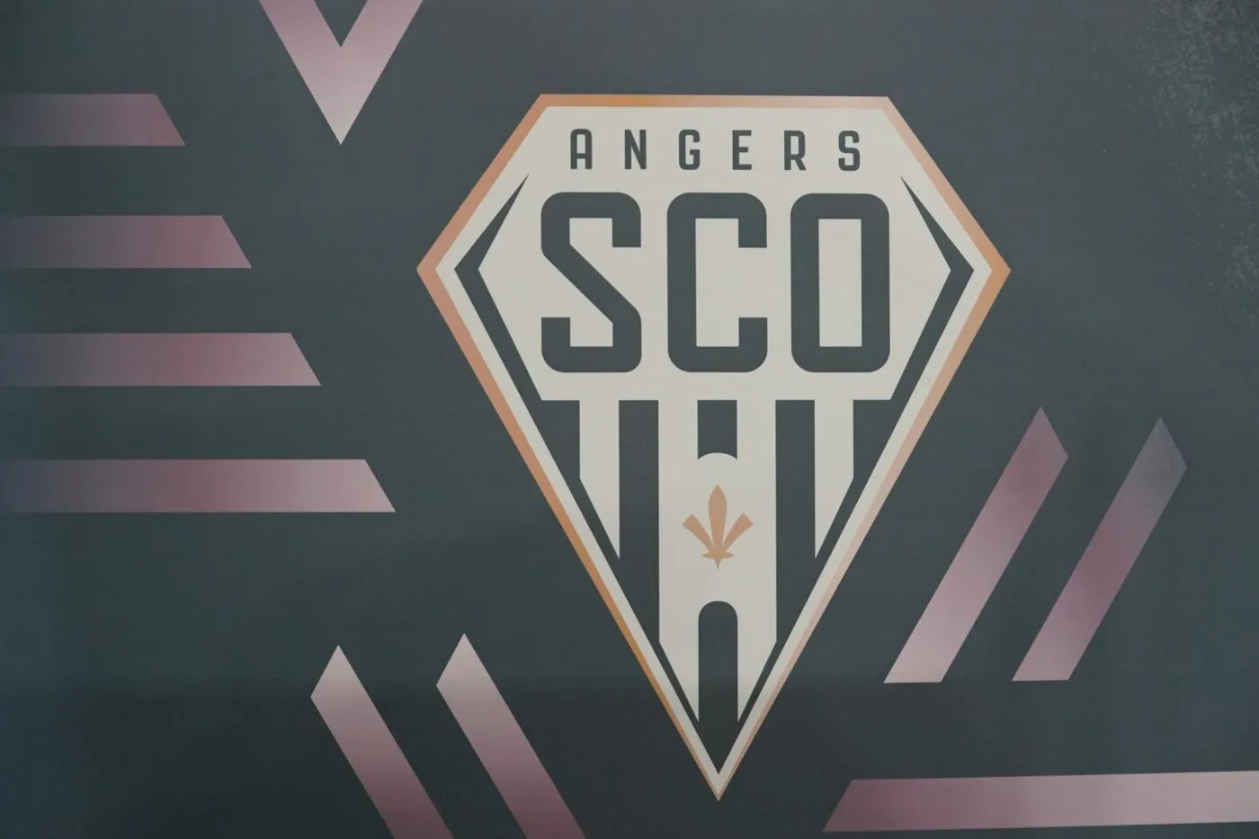 Le vice-président d’un groupe ultra d’Angers jugé pour violences volontaires en réunion