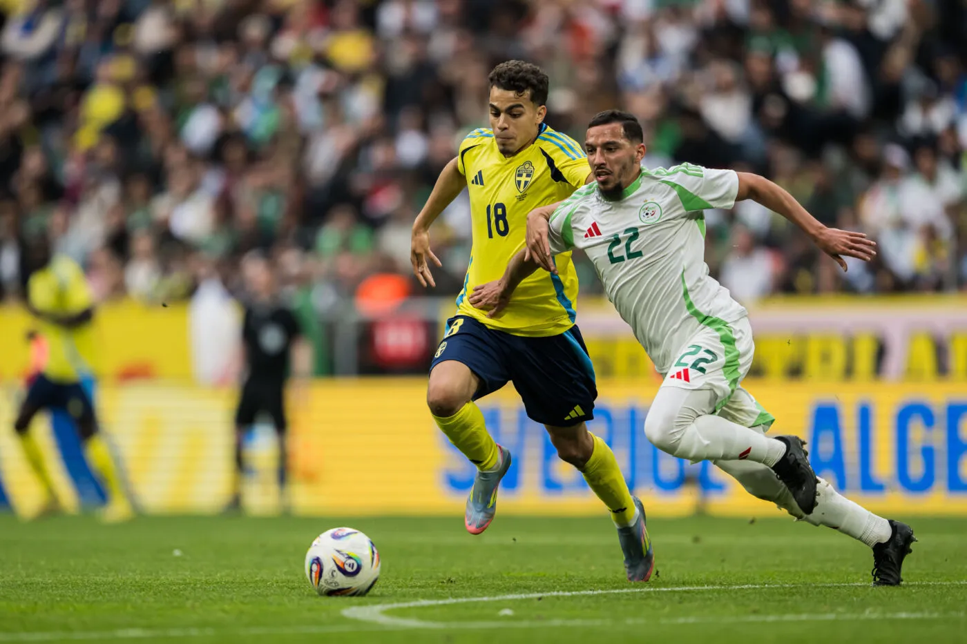 Des bangers et une remontada ratée lors de Suède-Algérie
